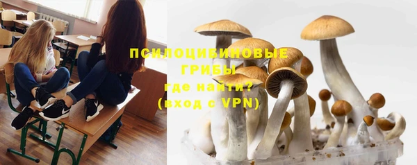 твердый Остров